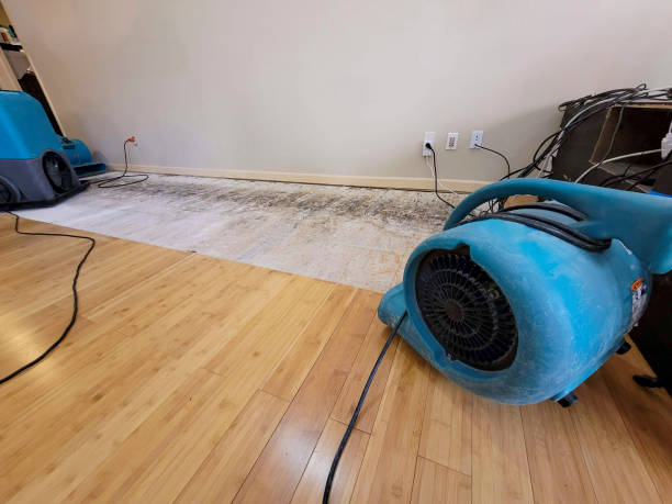 Professional Sewage Cleanup technician working in West Point, UT